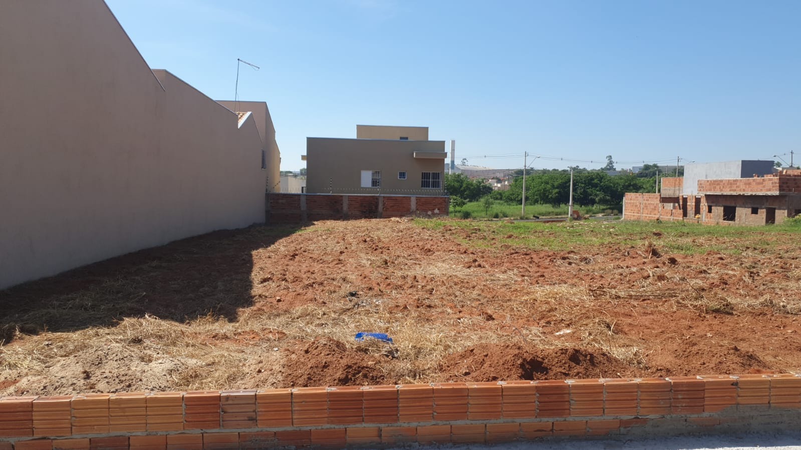 Terreno Regissol II Mirassol