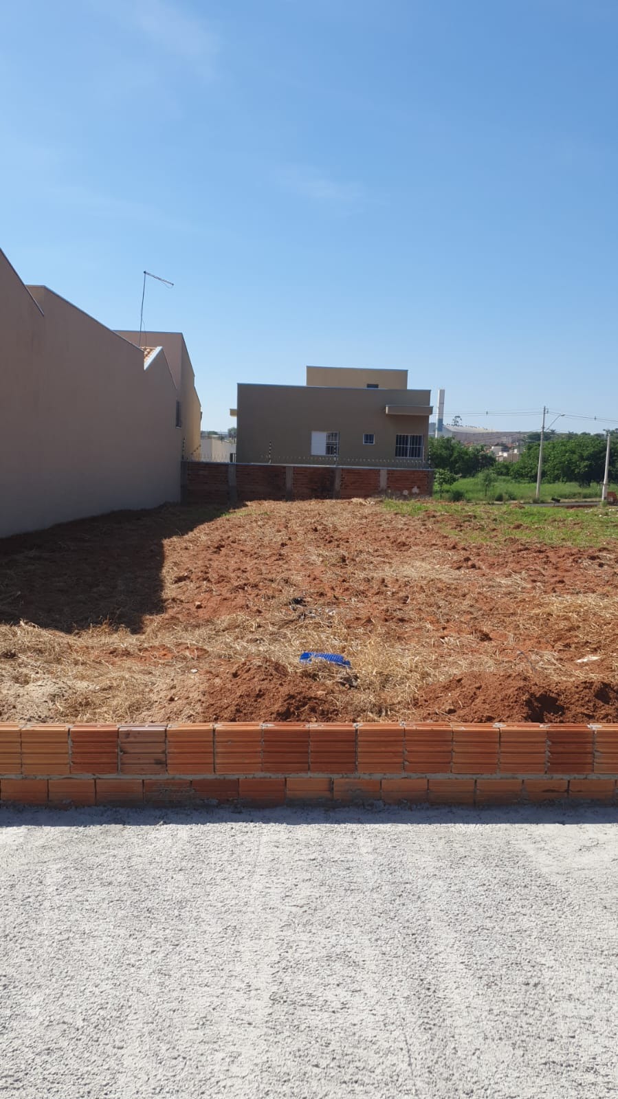 Terreno Regissol II Mirassol