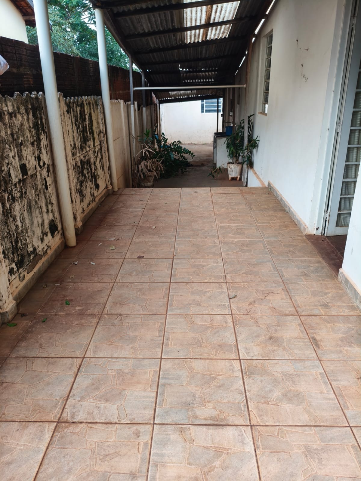 Miniatura 20