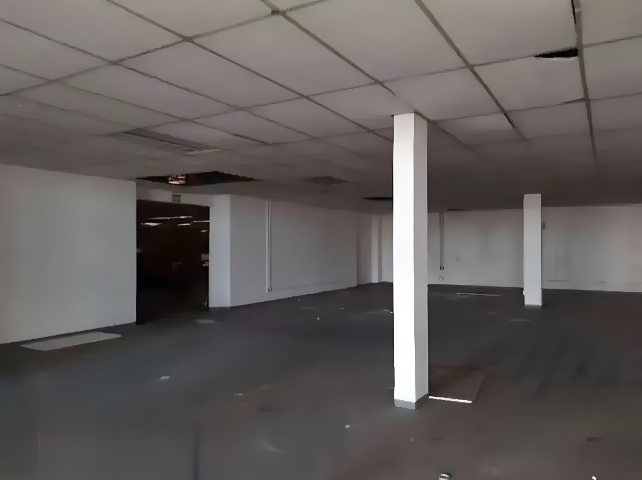 Imóvel Comercial no Cambuci/SP: 6.000 m², 20 Vagas - Pronto para Operação!