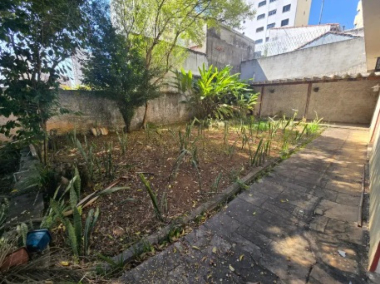Sobrado à Venda na Aclimação | Terreno de 1.000 m² | Piscina | 6 Vagas